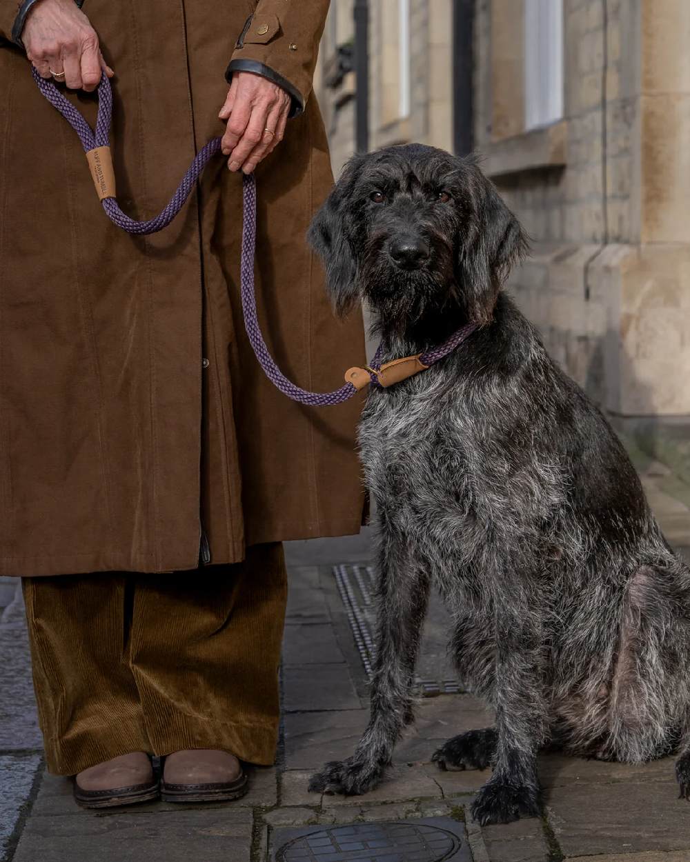 Ruff & Tumble Slip Dog Leads