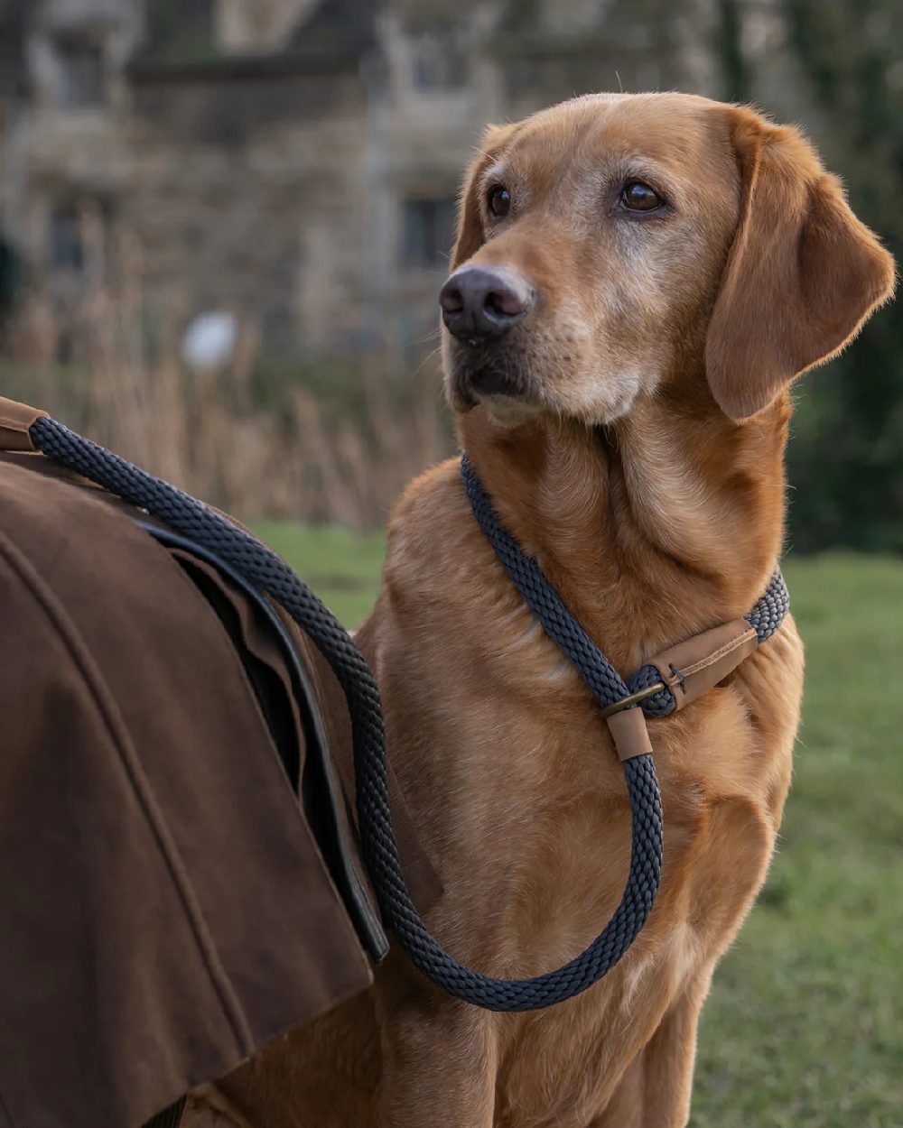 Ruff & Tumble Slip Dog Leads