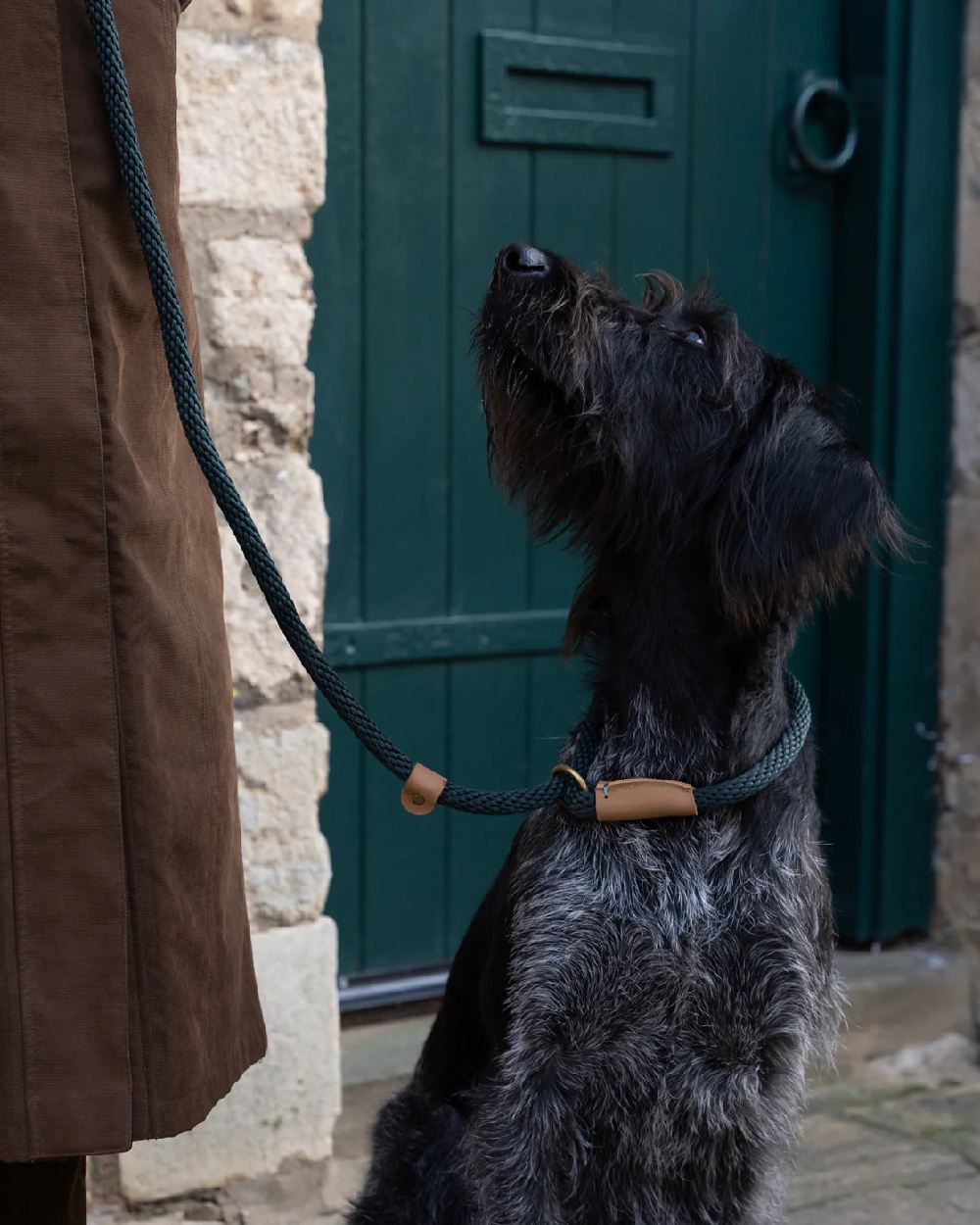 Ruff & Tumble Slip Dog Leads