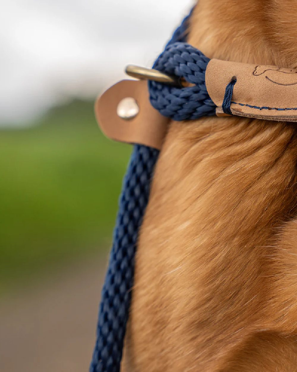Ruff & Tumble Slip Dog Leads