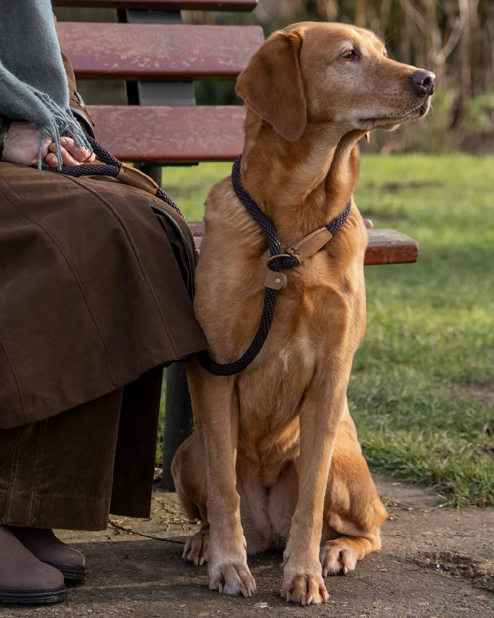 Ruff & Tumble Slip Dog Leads