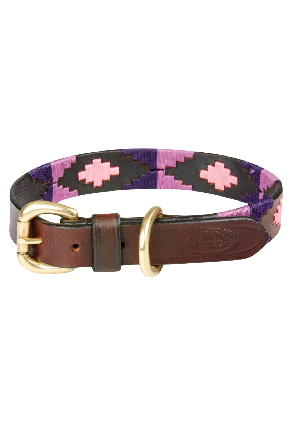 WeatherBeeta Polo Leather Dog Collar