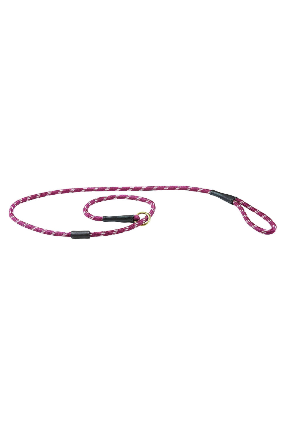 WeatherBeeta Rope Leather Slip Dog Lead