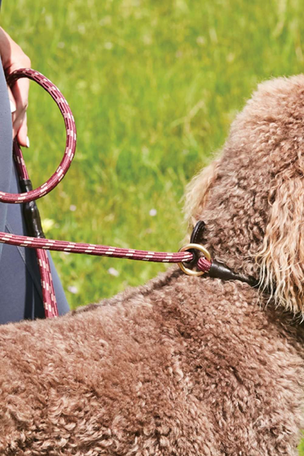 WeatherBeeta Rope Leather Slip Dog Lead