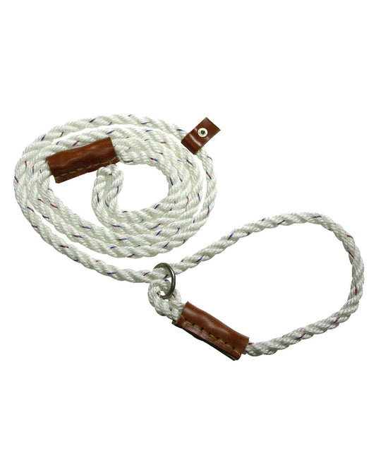 Bisley Field Trial Dog Lead