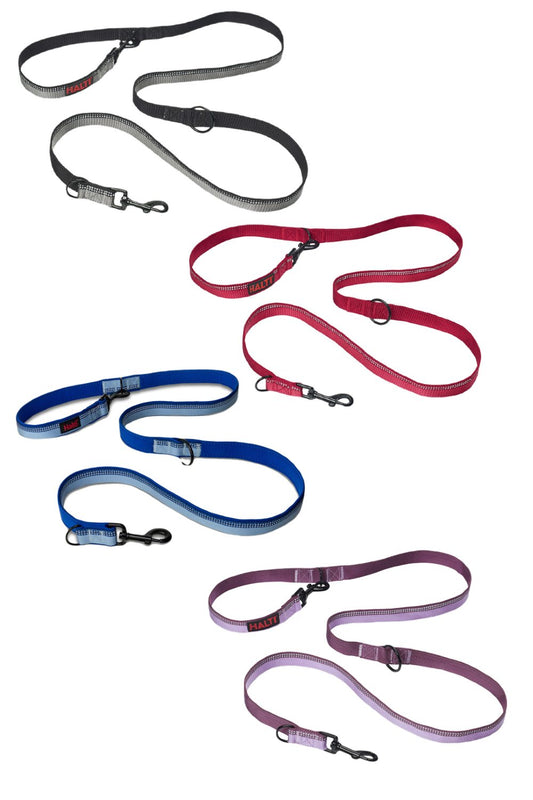 Halti Double Ended Lead