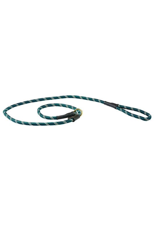 WeatherBeeta Rope Leather Slip Dog Lead