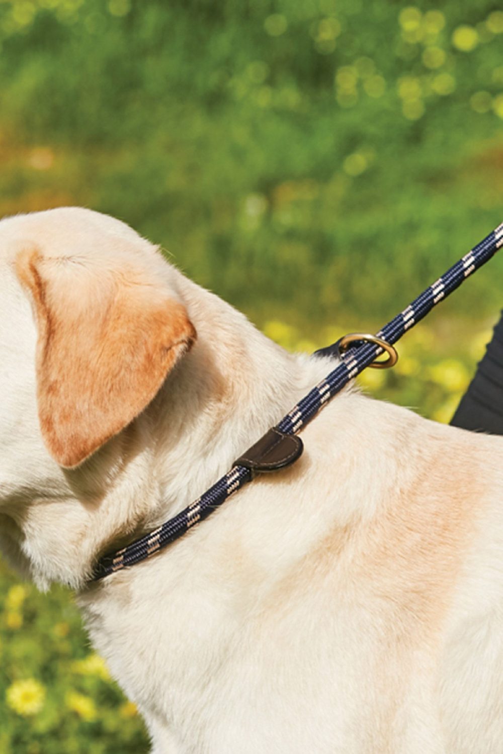 WeatherBeeta Rope Leather Slip Dog Lead